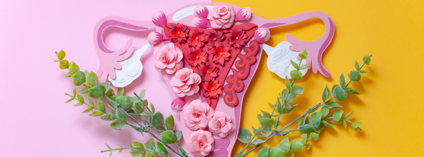 Endometriosis- Nourishing the Body with Knowledge & Care