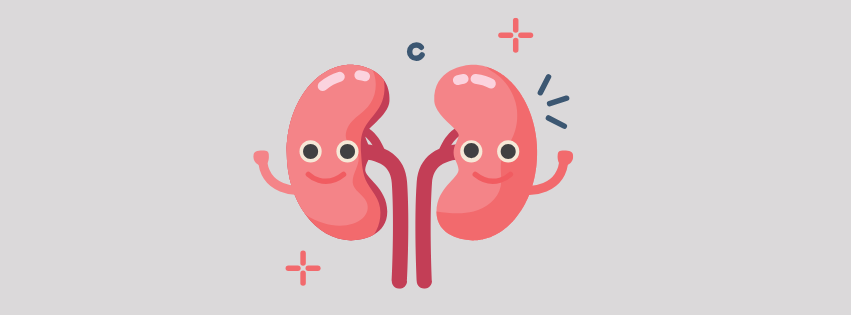 Love Your Kidneys