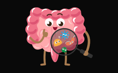 3 Priorities to Support a Healthy Gut