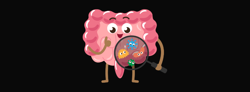 3 Priorities to Support a Healthy Gut
